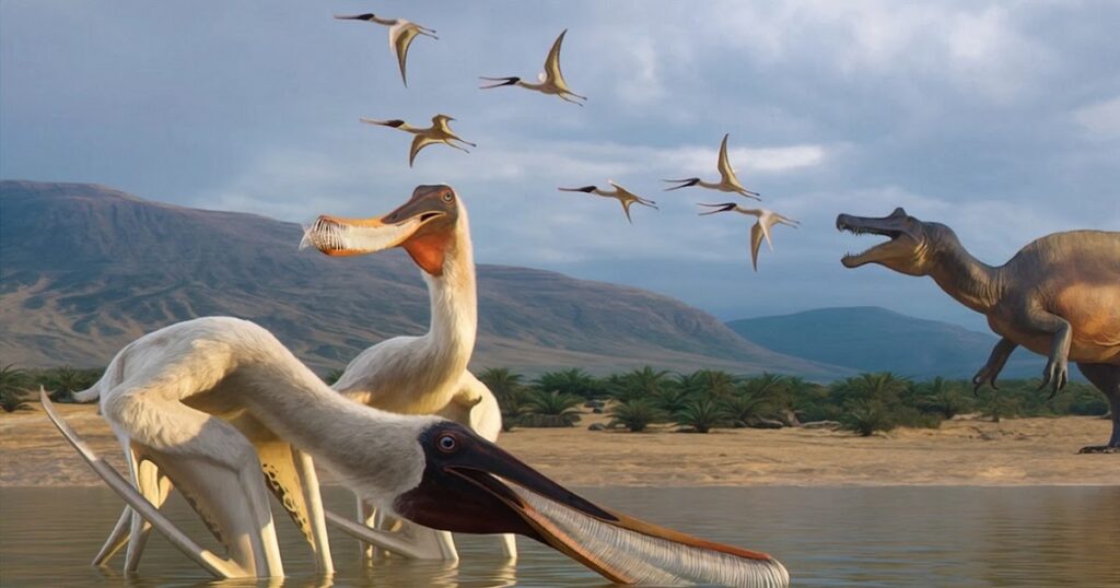 bakiribu waridza novataxa 2025 pegas aureliano holgado