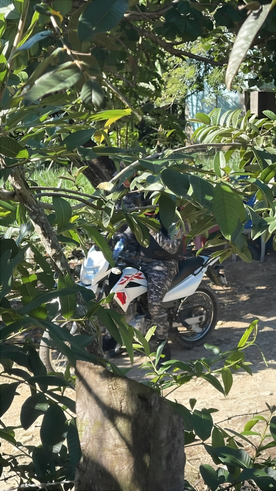 whatsapp image 2025 12 29 at 4.49.37 pm (1)