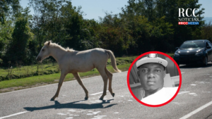 Motociclista muere tras chocar con un caballo en Consuelo, SPM