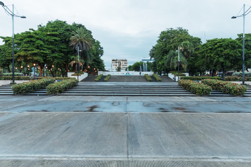 whatsapp image 2026 01 01 at 11.29.47 (1)