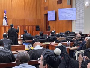 Abogada Laura Acosta acusa al MP de fabricar testimonios para procesar a Gonzalo Castillo