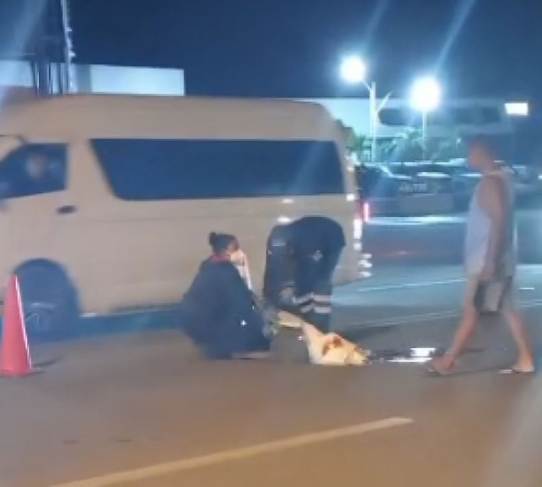 whatsapp image 2026 01 20 at 10.52.41 pm