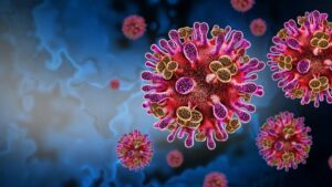 EE.UU. emite alertas sanitarias en aeropuertos por virus Nipah