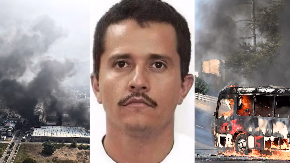 5el6h6wiorcx3d5bcn4phtx6qq