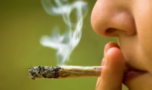 Consumir cannabis en la adolescencia duplica el riesgo de psicosis y trastorno bipolar