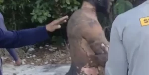 Hombre sufre quemaduras de tercer grado tras incendio de autobús en Verón-Punta Cana