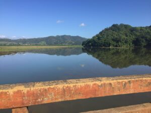 Academia de Ciencias alerta sobre proliferación de cianobacterias y contaminación en la Presa de Hatillo