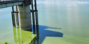 Habitante de Cotuí reclama al Indrhi explicar color verde de la presa de Hatillo