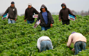 Provincia canadiense elimina la cobertura de salud pública para trabajadores temporales extranjeros