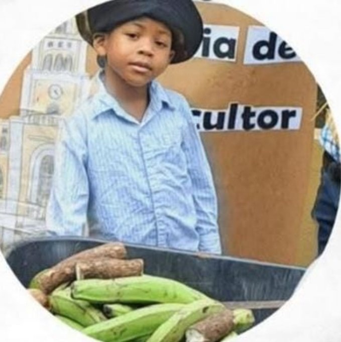 wmremove transformed