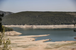 Sistema con inteligencia artificial logra anticipar sequías con hasta seis meses de ventaja