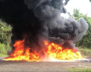 Inacif incinera más de 2.5 toneladas de sustancias ilícitas