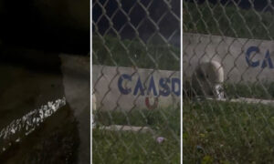 Denuncian desperdicio de agua por fuga en Jacobo Majluta