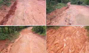 Reclaman reparar destartalada calle en Camarón, Peralvillo