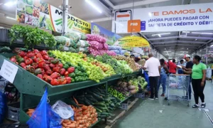 Consumo de alimentos supera la producción agropecuaria en 2025 y eleva las importaciones en RD