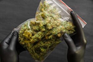 Apresan a mujer por posesión de 57 porciones de marihuana en SDO