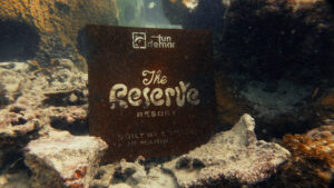 Lanzan “The Reserve Resort”, iniciativa que convierte arrecifes en un “hotel” para impulsar su conservación