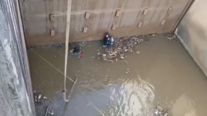 CAASD restablecerá servicio tras eliminar obstrucción en acueducto Barrera de Salinidad