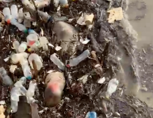 Encuentran segundo cadáver en río Yaque del Norte en Castañuelas y crece alarma comunitaria