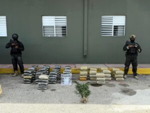 Incautan más de 600 libras de marihuana en Elías Piña