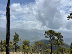 Medio Ambiente activa protocolo preventivo en el Parque Nacional Armando Bermúdez tras alerta del COE