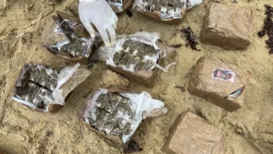 Incautan 19 pacas de hachís en costas de Miches