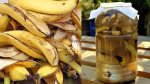 Para qué sirve mezclar cáscara de banana con vinagre