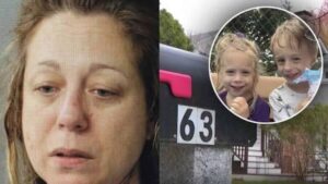 Madre en Massachusetts confiesa haber estrangulado a sus dos hijos
