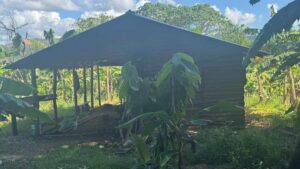 Rescatan sana y salva a adolescente de 15 años raptada en Bonao