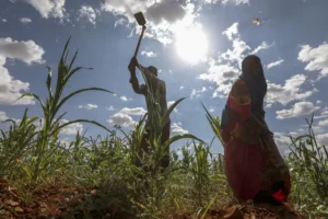 Somalia enfrenta hambre extrema: escasez de agua y costos elevados profundizan crisis