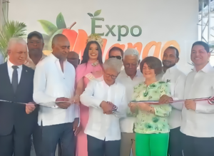 RD proyecta exportar cerca de 10 millones de cajas de mango en 2026, según ministerio Agricultura