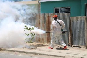 Leptospirosis aumenta pese reducción de dengue y malaria