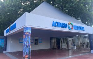 Harán campamento para hijos de periodistas