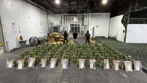 DNCD ocupa carga de piñas con 121 láminas de cocaína en el AILA