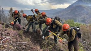 Mueren tres bomberos durante combate a incendios forestales entre Utah y Colorado