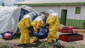 OMS busca US$518 millones para enfrentar brote de ébola en África