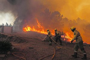 Unos 200 bomberos combaten incendio forestal en Portugal y se extiende por fuerte viento