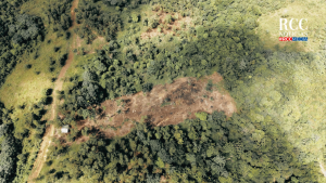 Denuncian tala y quema de árboles en cuenca del río Boyá