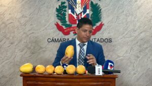 Diputado del PRM pide apoyo estatal para enfrentar plaga que afecta producción de mango en Baní