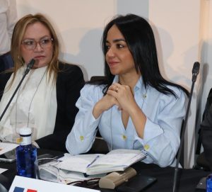Faride Raful pide cooperación internacional para una migración ordenada
