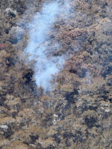 Medio Ambiente refuerza operaciones para controlar incendio en Sierra de Bahoruco