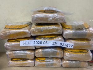 Incautan 129 libras de marihuana durante operativo en Azua 