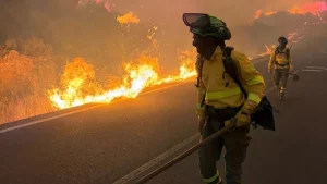 Tragedia en españa: incendio cobra la vida de 12 personas y deja a 19 desaparecidos