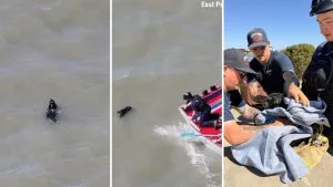 El heroico rescate de un perrito a punto de ahogarse