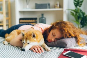 Estudio de Mayo Clinic sugiere que las mujeres duermen mejor con perros que con parejas humanas