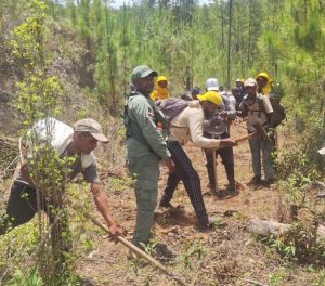 Bomberos controlan más del 80 % del incendio forestal en la Sierra de Bahoruco