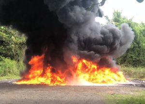 Incineran casi una tonelada de drogas ocupadas en operativos