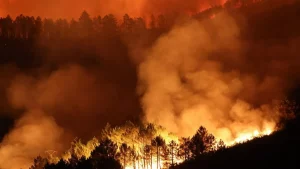 Incendios forestales consumen 77,000 hectáreas y dejan más de 100,000 personas afectadas en España