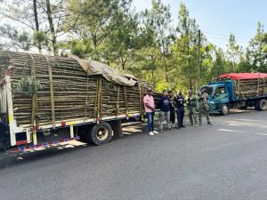 Ejército incauta cargamento de madera sin documentación legal en Santiago