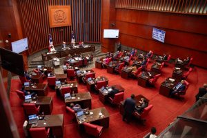 Senado avanza con reforma policial tras aprobar proyecto en segunda lectura